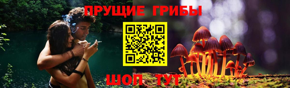 Галлюциногенные грибы мицелий  Вход с VPN  Чебаркуль 